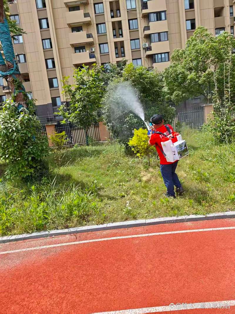 附近工厂仓库除四害除虫灭鼠 上海松江区消杀公司灭蚊蝇服务